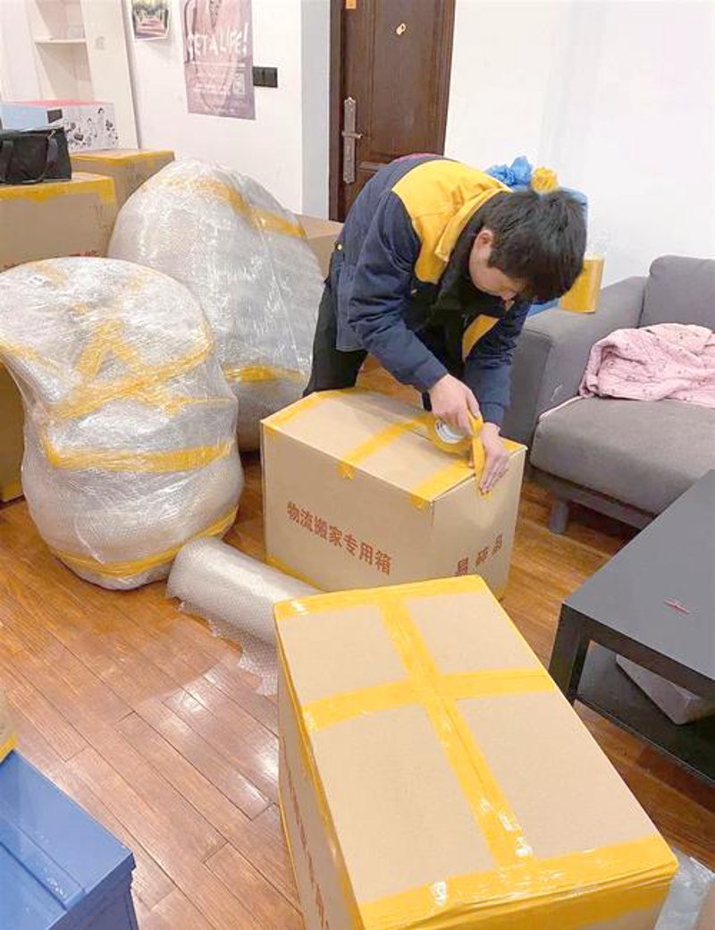 水牛搬家:一场与环境和谐共存的故事